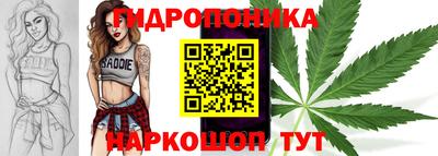 скорость Будённовск