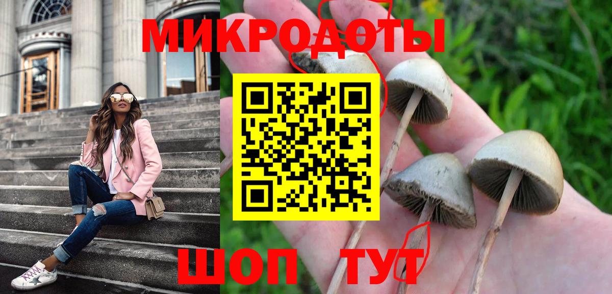 Галлюциногенные грибы GOLDEN TEACHER  купить наркотики сайты  Люберцы  Вход с VPN  Галлюциногенные грибы мухоморы 