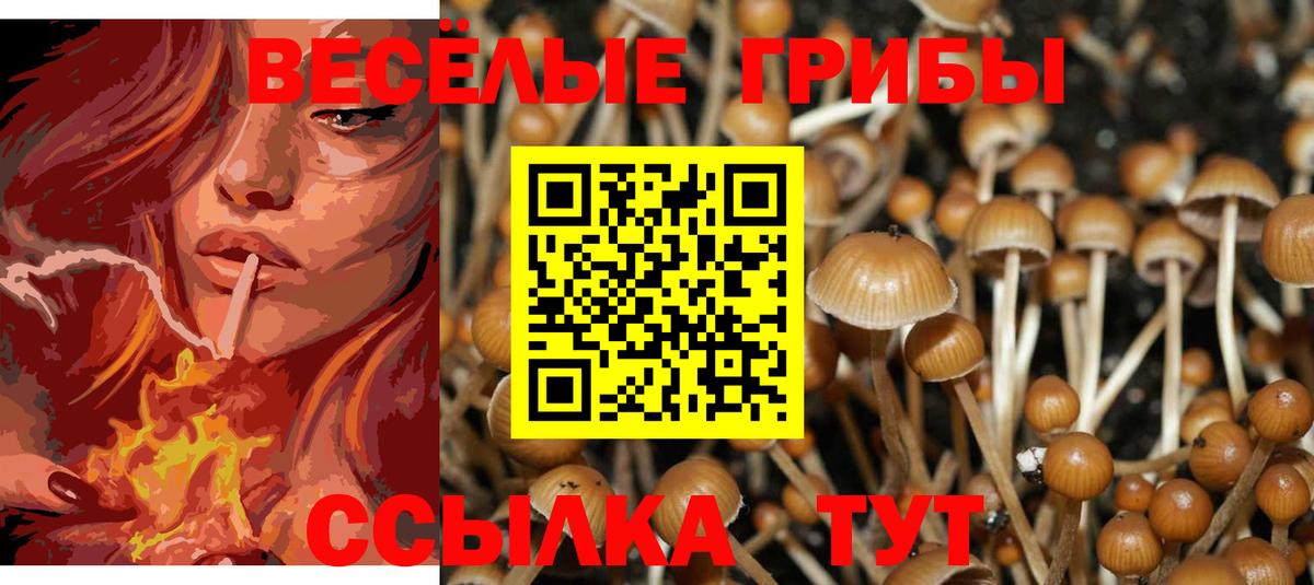 Галлюциногенные грибы мухоморы Люберцы